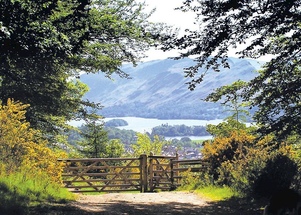 Pound Farm Lodges Crook  Buitenkant foto